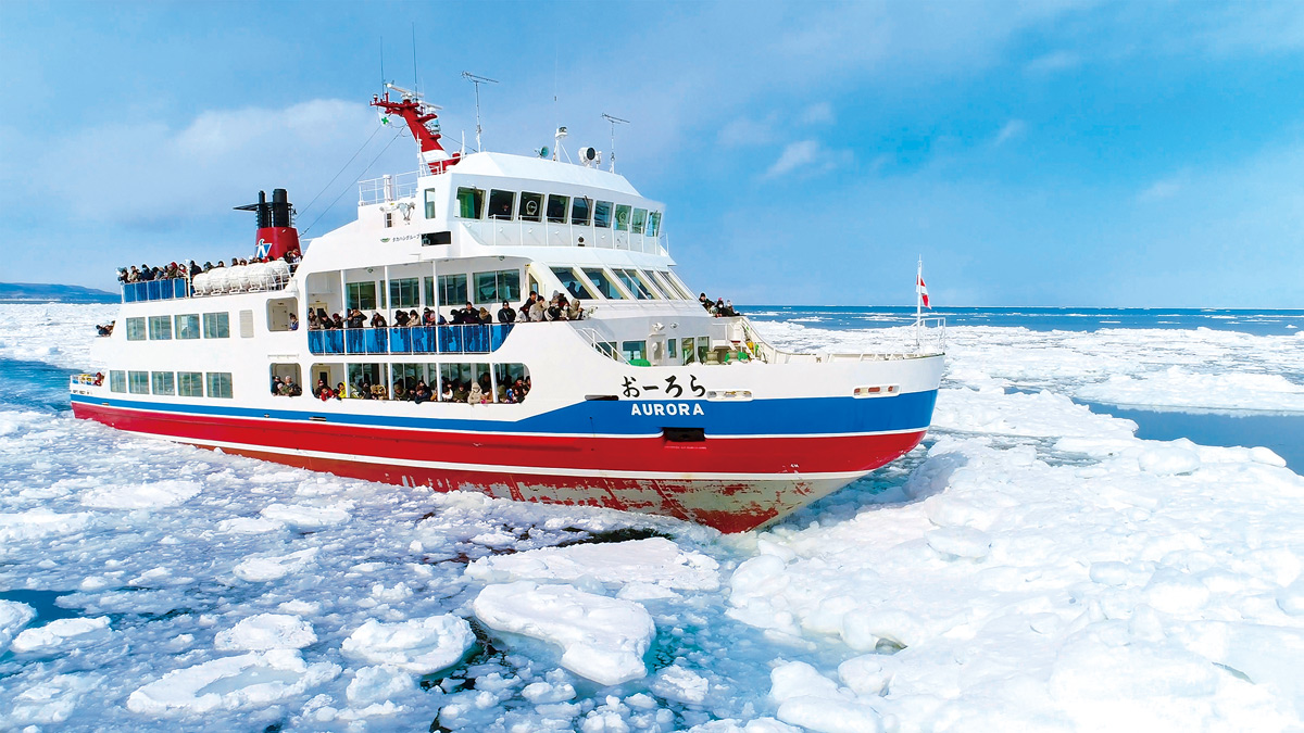 絶景だらけの冬の道東観光ガイド！在住者が教える本当に楽しむコツと注意点