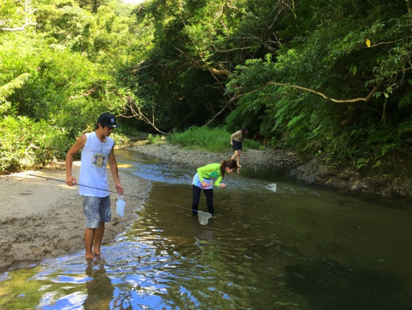 沖縄やんばるの川遊びが楽しめる滝＆秘境スポット7選家族・子供連れにも安心な有名な川から穴場まで！ - 沖縄ツアーズ