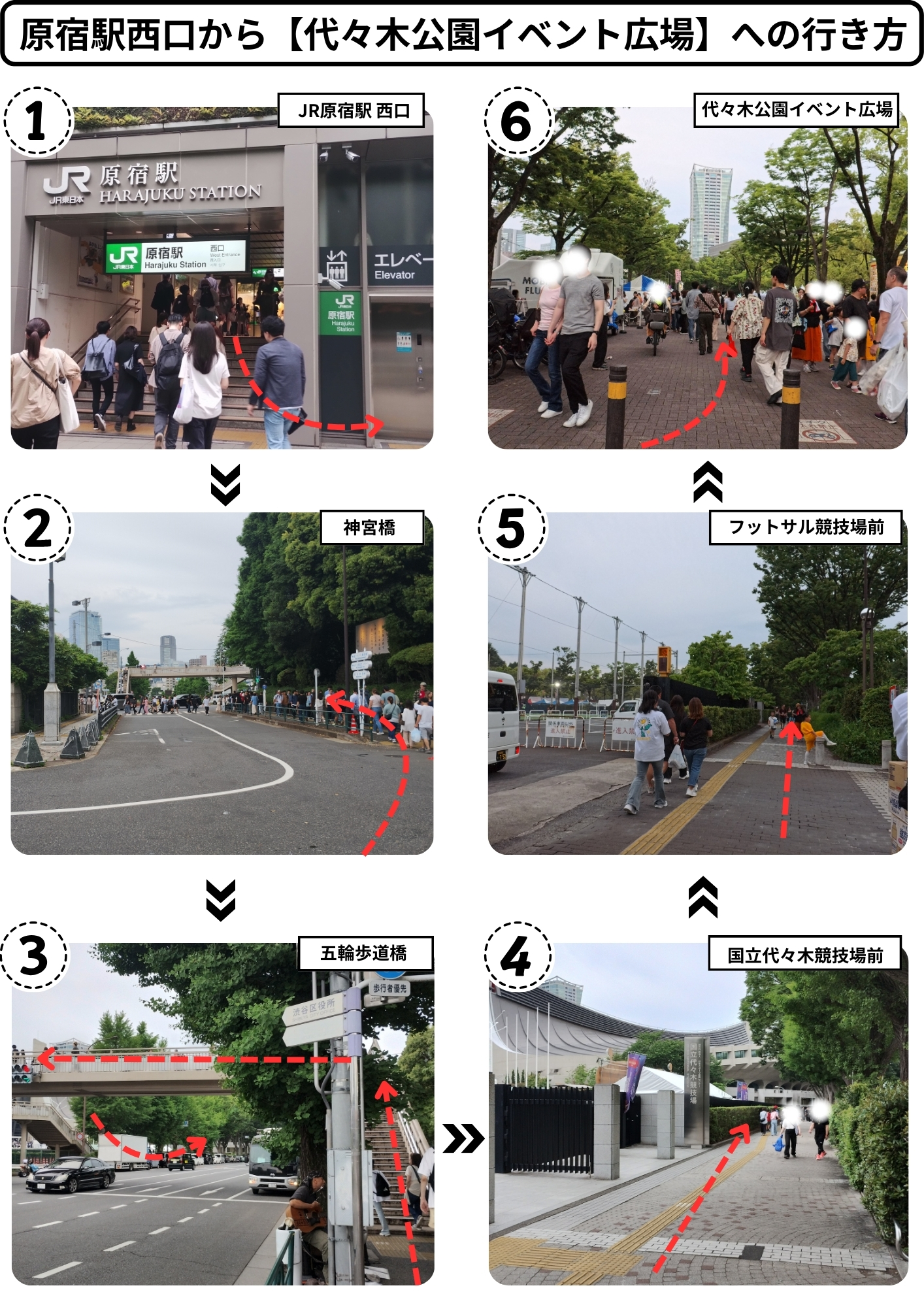 代々木公園のトリセツ♡ 「見どころ 楽しみ方・歩き方