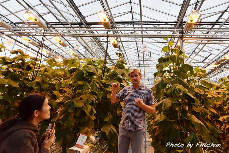 アイスランドで見れる動物・野生動物をまとめて紹介アイスランドの観光・旅行情報サイトicevel アイスベル