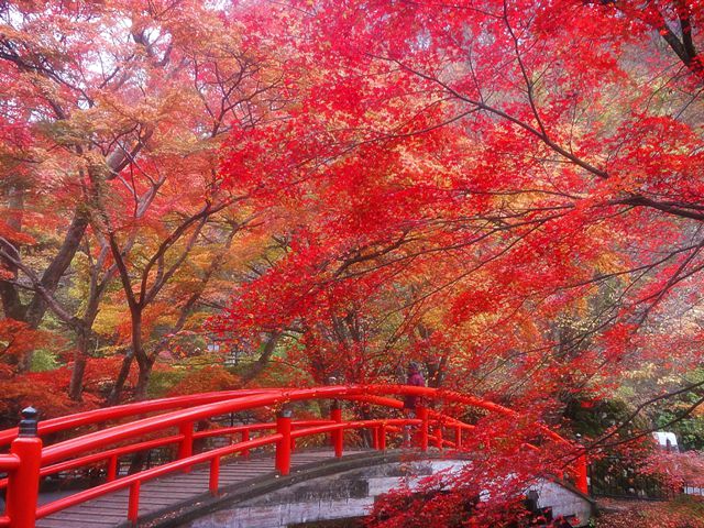 兵庫県 秋の赤穂で絶景カフェと紅葉を楽しむTrip.com 赤穂