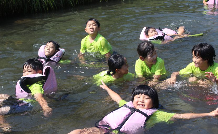 キャンプサイトに憧れのどうぶつを呼んでみました！ あつまれ どうぶつの森＃43- 電撃オンライン