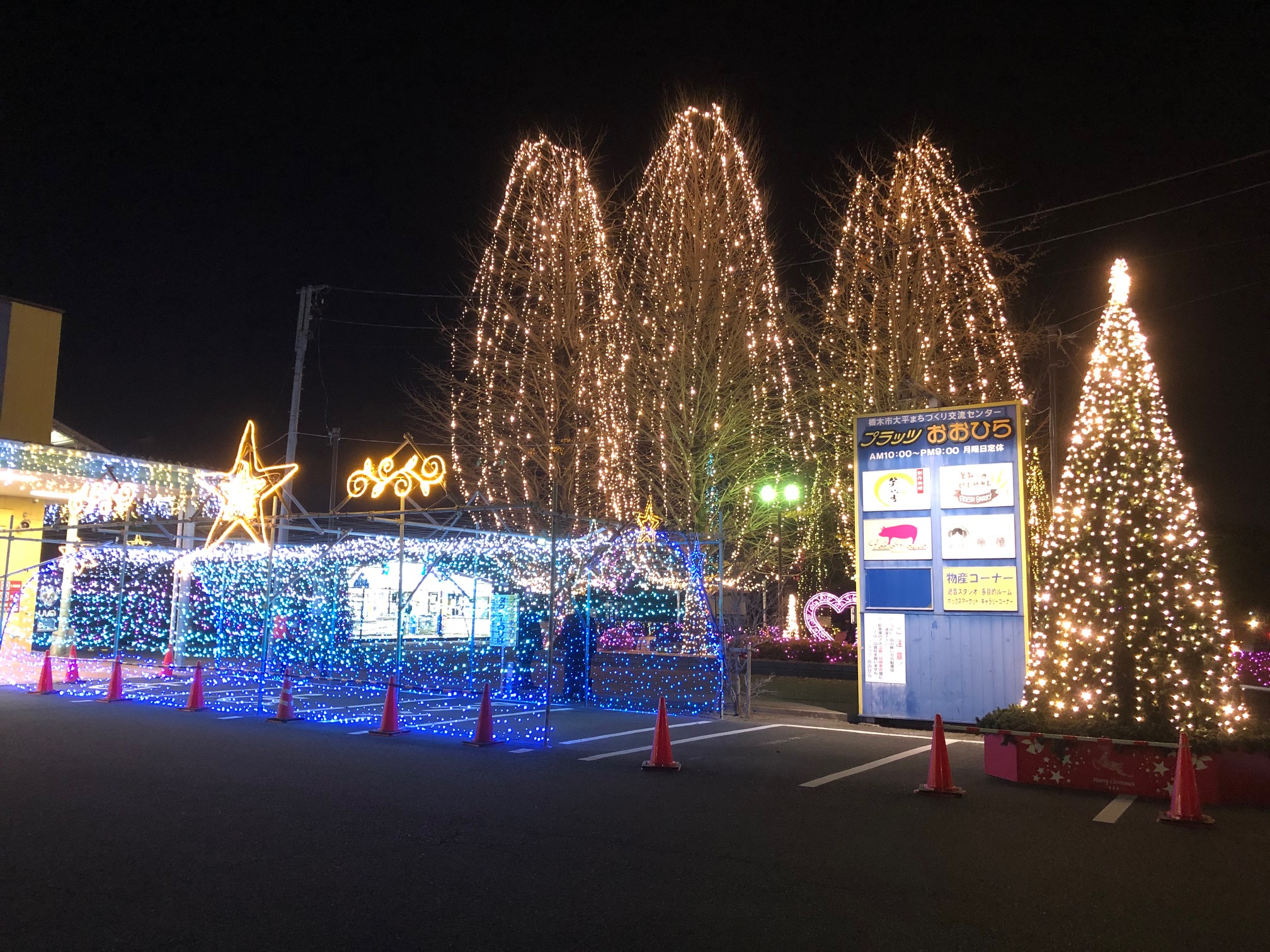 新大平下駅 クチコミ・アクセス・営業時間栃木・壬生・都賀 フォートラベル