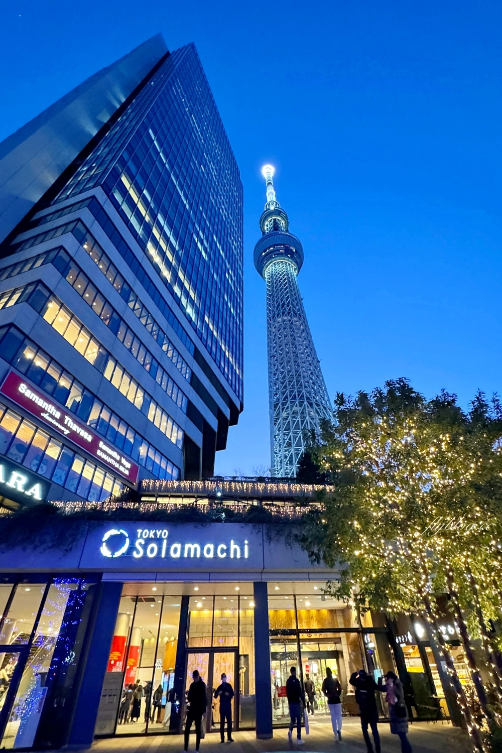 2025叙叙苑燒肉 便宜商業午餐和牛必吃！訂位教學菜單＆晴空塔店景色超美- 波比看世界