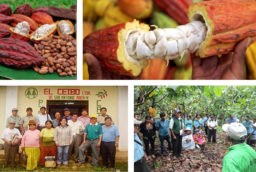 ペルー・ボリビア・メキシコ お土産 : Chococoの旅の備忘録