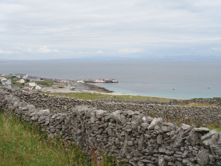 ブリン・チェリー脳室