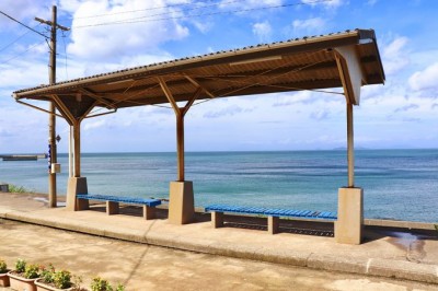 石垣島 青の洞窟の行き方 個人が自力でいけるのか