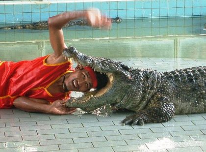 またいつか、あの国であのビールを飲みたい！「旅するビールリレー」よなよなエール公式ウェブサイト「よなよなの里」