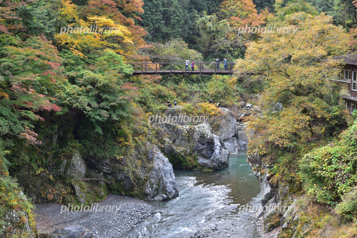 奥多摩湖の三頭橋 東京都奥多摩町 の写真素材131903502 毎月1点無料
