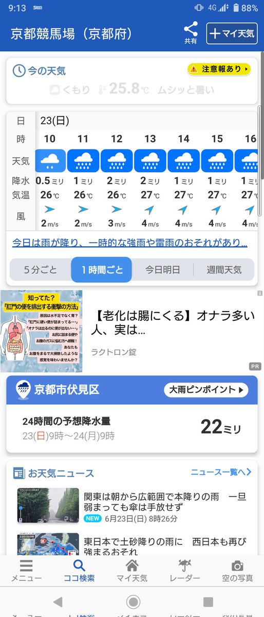 東京競馬場 - Wikiwand