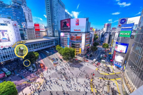 渋谷のスクランブル交差点Kokoro VJ