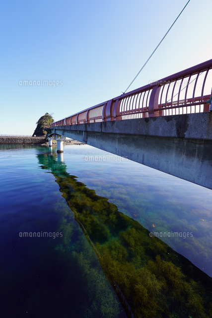 若狭高浜海釣り公園 アソビュー！