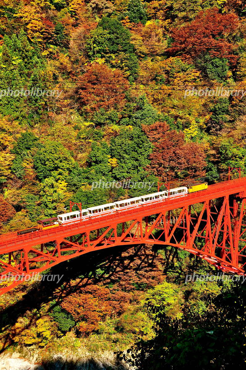 紅葉・見ごろ 黒部峡谷北日本新聞webunプラス