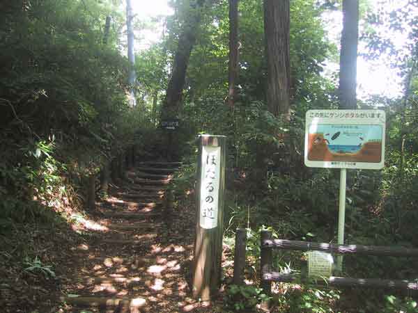 丹沢・葛葉川本谷奇跡の今日一日