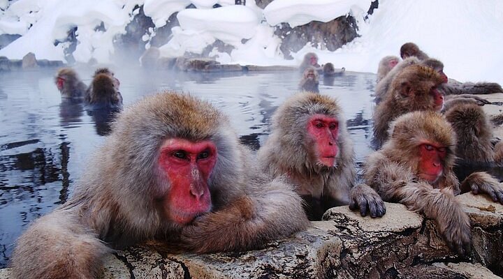 新潟 門田和也 江神温泉共同浴場–