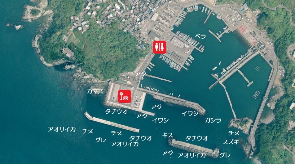 釣場調査 田ノ浦・雑賀崎 -