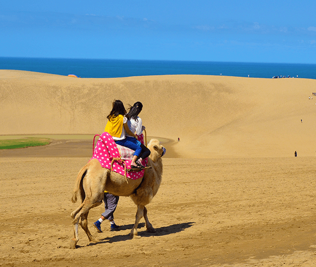 鳥取・島根へ旅行計画佐藤歯科診療室 京急田浦、船越町