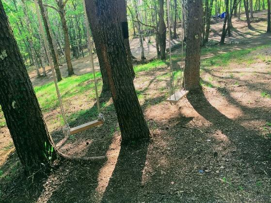 山梨県 みずがき山森の農園キャンプ場夏でも涼しい標高の高いキャンプ場に行ってみた！ - ハピキャンキャンプ・アウトドア情報メディア