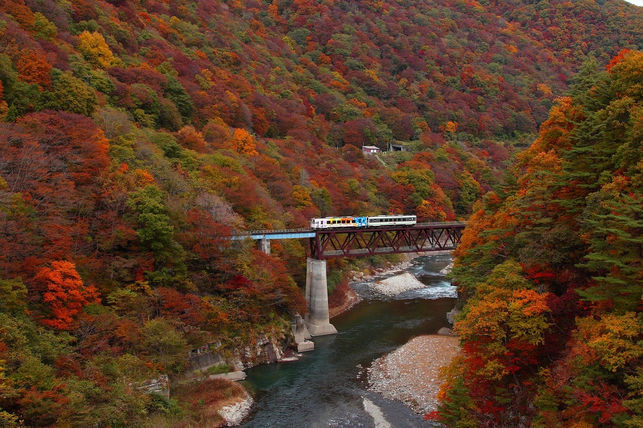 闇の先に秋光が！奥只見シルバーラインドライブまにあ「花鳥風月」_matsu's BLOG_