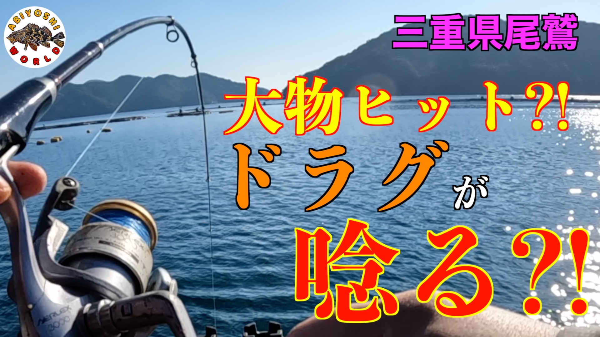マアジ遭遇 三重県尾鷲市・大曽根浦漁港：中日スポーツ・東京中日スポーツ