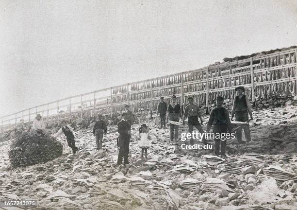 １２５．ニューファンドランド島 カナダ のフランス漁民 - 地理講義