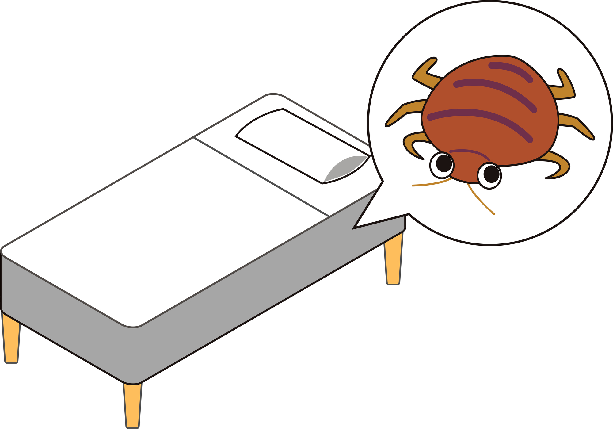 タイ南部でトコジラミに囲まれた！pumpuy