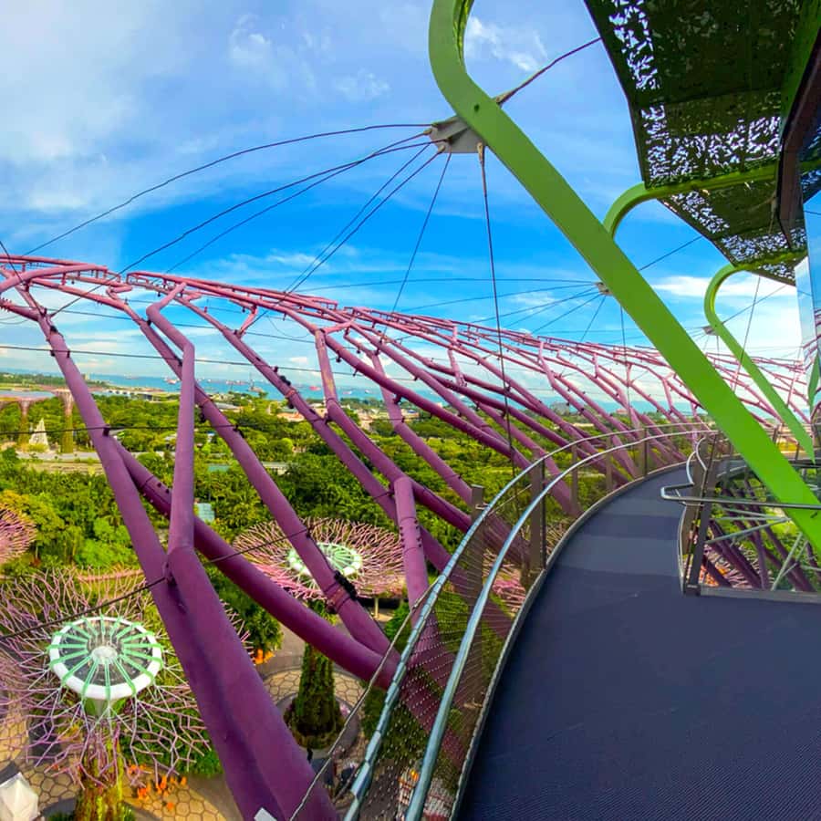 楽天 ガーデンズバイザベイ Eチケット 予約＜シンガポール