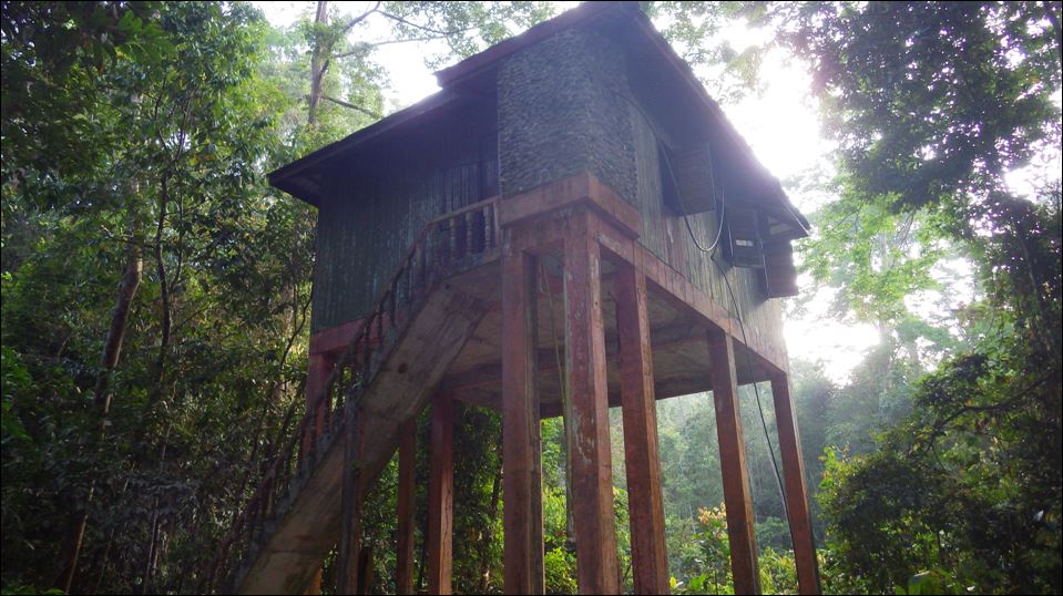 172 タマンネガラ国立公園 Stock Photos, High-Res