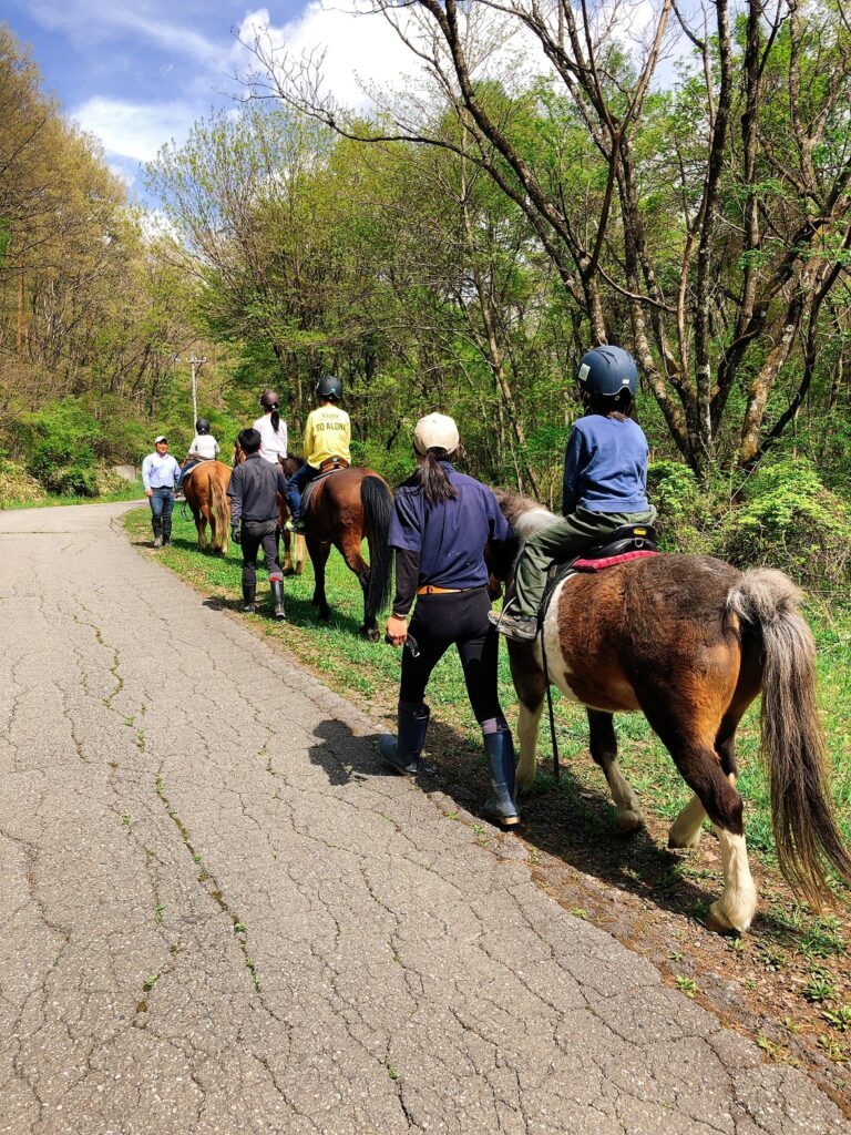 蓼科リベンジ山旅・その2.池の平白樺高原ホテルに泊まって蓼科山をリベンジ』白樺湖・蓼科・車山 長野県 の旅行記・ブログ