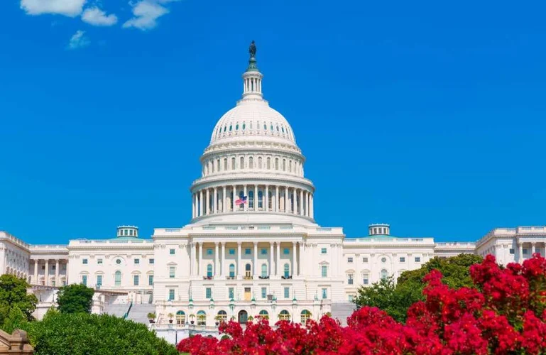 アラモレンタカー 営業所一覧 ワシントンD.C.レンタカー