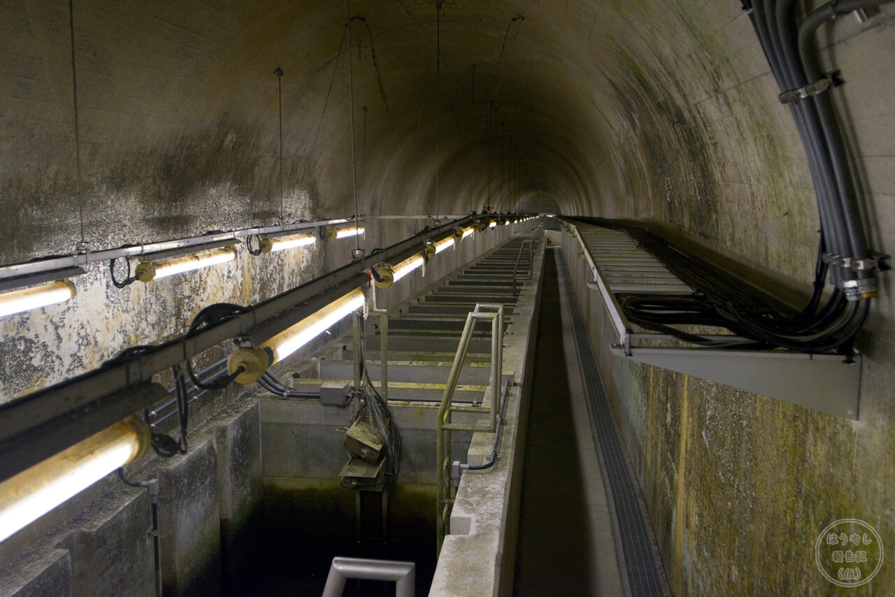 魚専用の道路「魚道」が見どころ、東京都奥多摩にある「白丸調整池 白丸ダム」の内部に潜入！はうやし報告記 仮