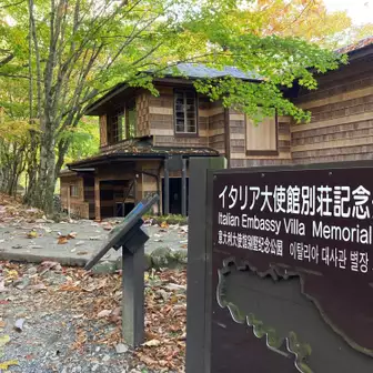栃木県の巨木 日光中禅寺湖・八丁出島のブナ