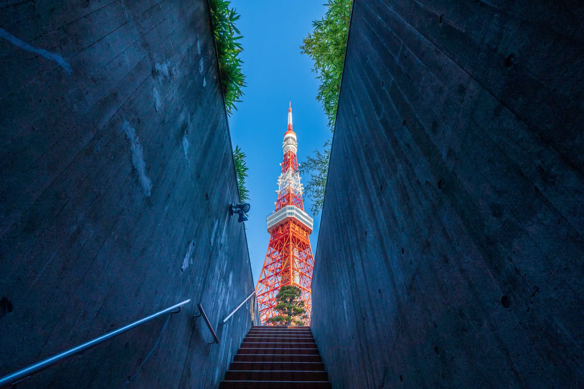 東京 芝公園 東京タワーと私！東京タワーの写真スポット＜2019年＞トラベルインフルエンサーAYUMI 's BLOG