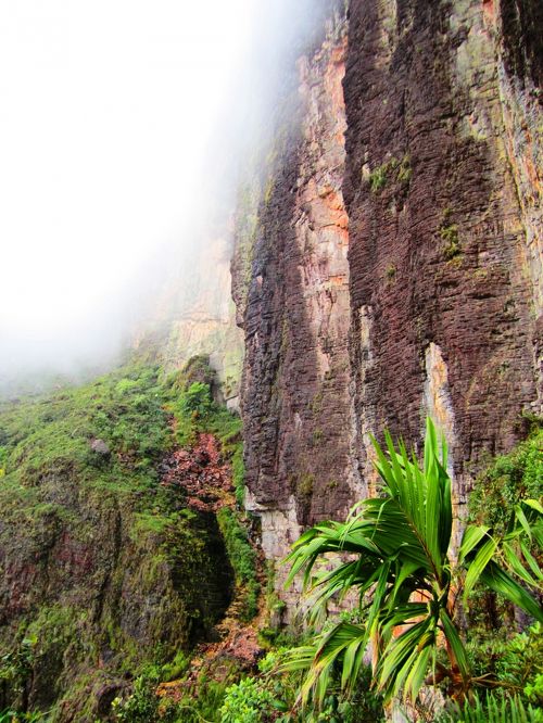 ギアナ高地の観光スポット一覧注意点もあわせて解説旅人ガイド ベネズエラ編