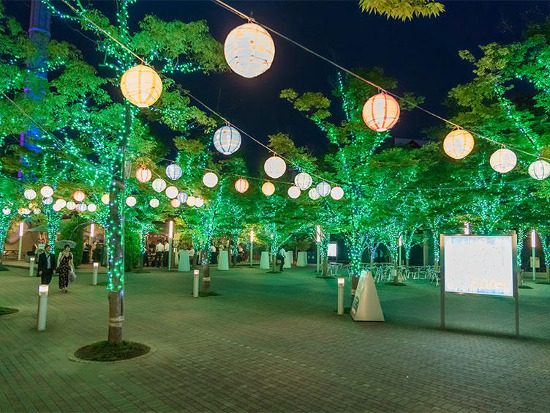 2025 東京ドームシティイルミネーションはいつからいつまで？料金やアクセスを紹介