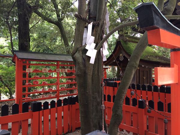 縁結び下鴨神社賀茂御祖神社 kamomioya jinjya