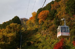 お城の現場より～発掘・復元・整備の最前線 第41回 八幡山城