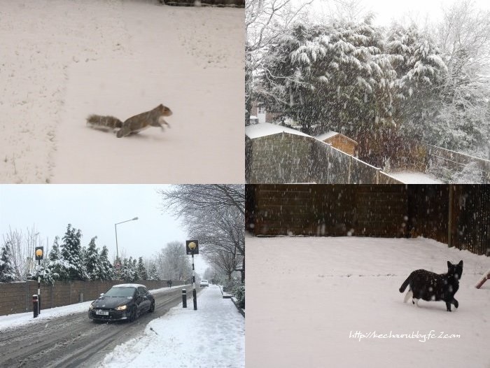 雪のイギリス 写真素材695675- フォトライブラリ