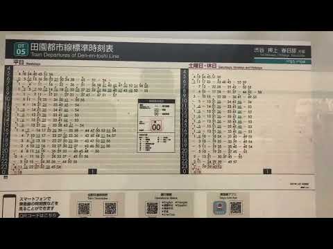 葛飾区・さくら 令和4年7月15日 金
