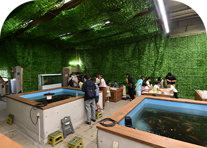 神奈川の子連れで行ける釣り堀10選！リーズナブルで初心者にもOKcomolib Magazine