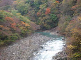 白砂渓谷ライン 紅葉巡り旅 - それでもやっぱり田舎が好き
