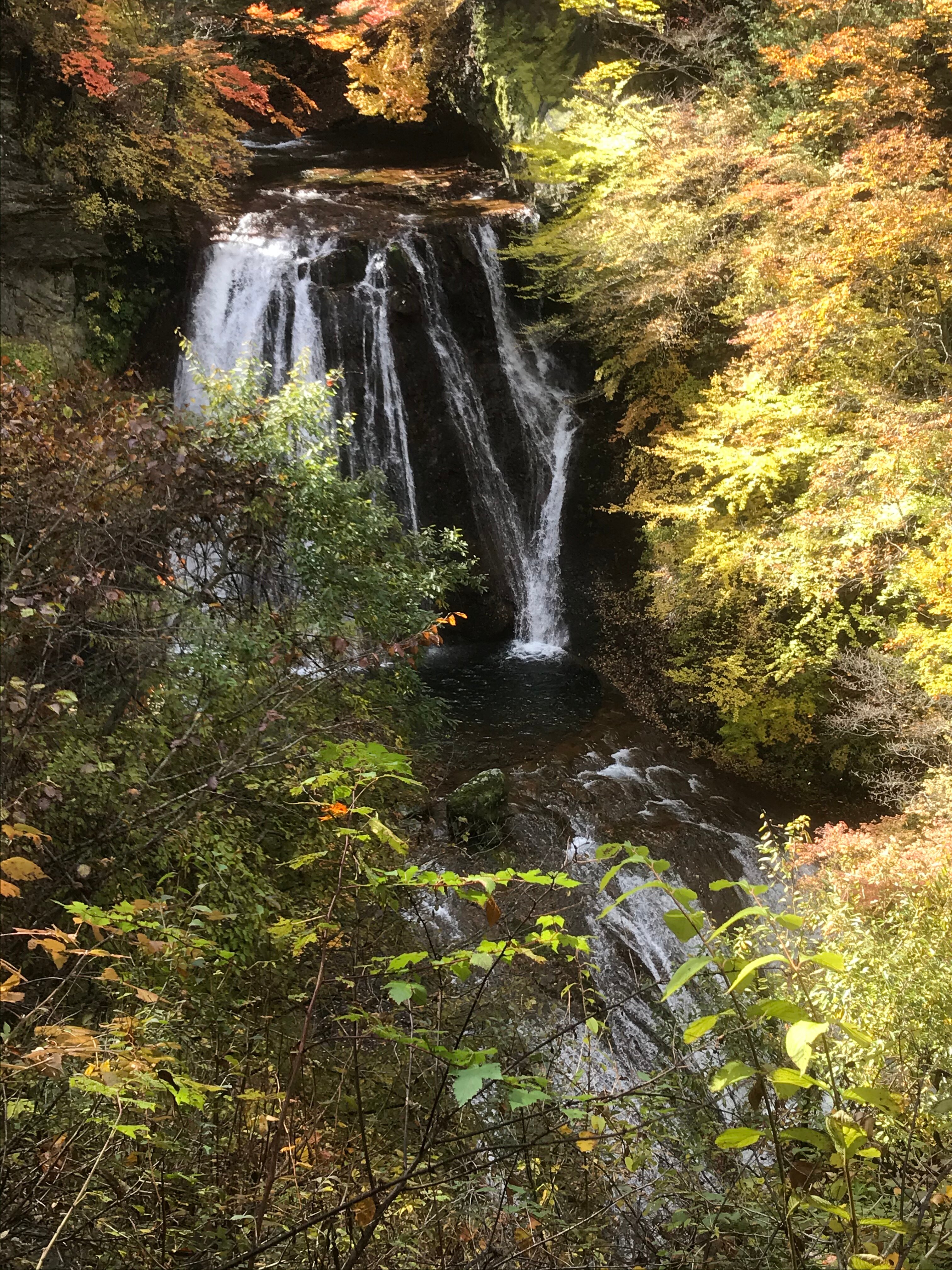 紅葉スポット 蓼科 横谷峡 横谷観音