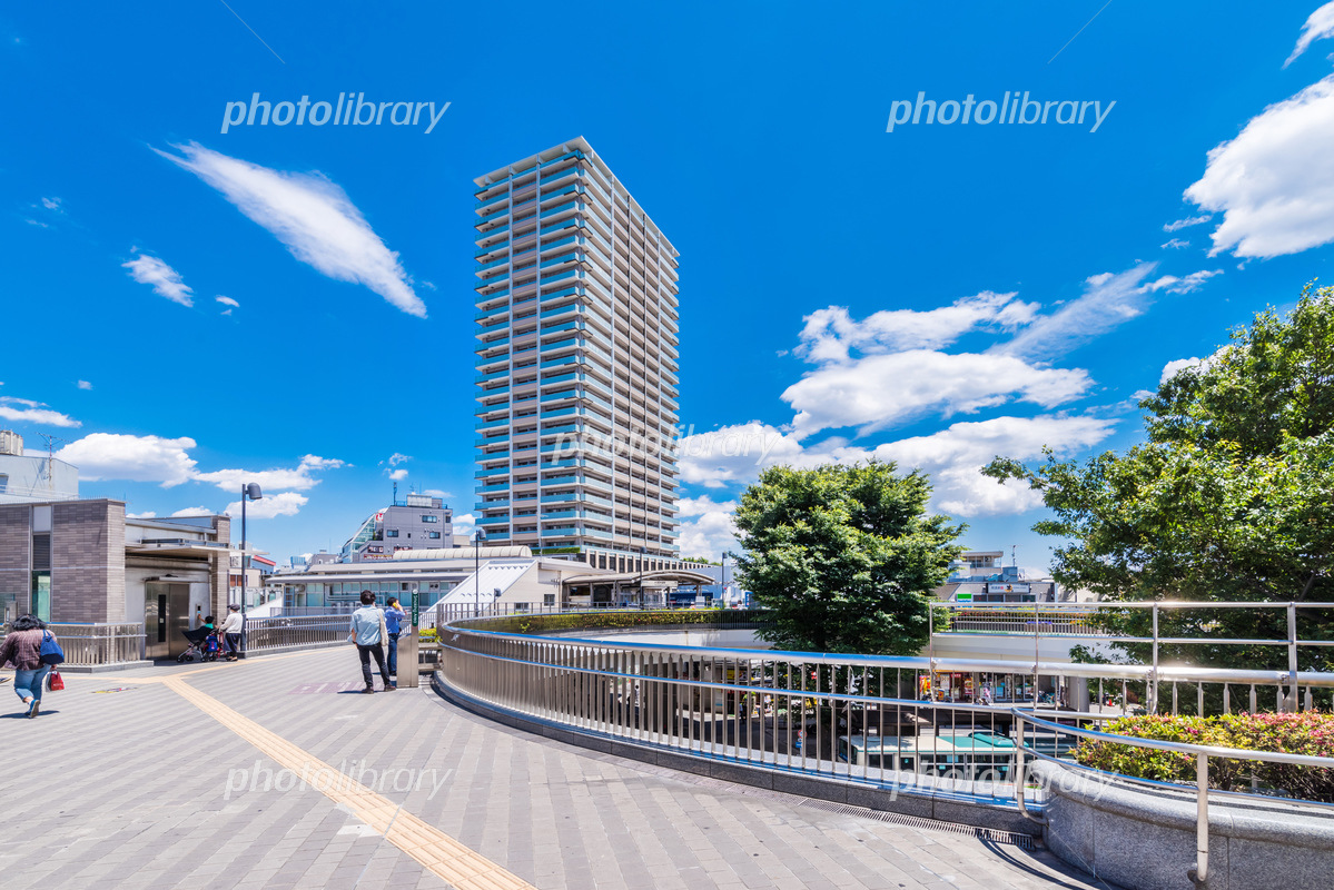 ライフ 「大泉学園駅前店」を改装オープン、ビオラルコーナーなど拡大流通ニュース