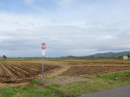 2,300点を超えるバス停 田舎のストックフォト、写真、そしてロイヤリティフリーの画像 - iStock