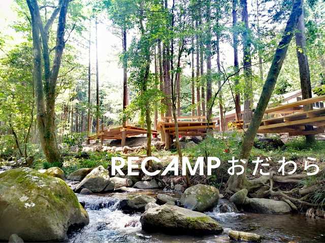 神奈川 駅近で川遊びが出来ちゃう！水と自然に癒される「帷子川親水緑道」が穴場すぎる！たびこふれ