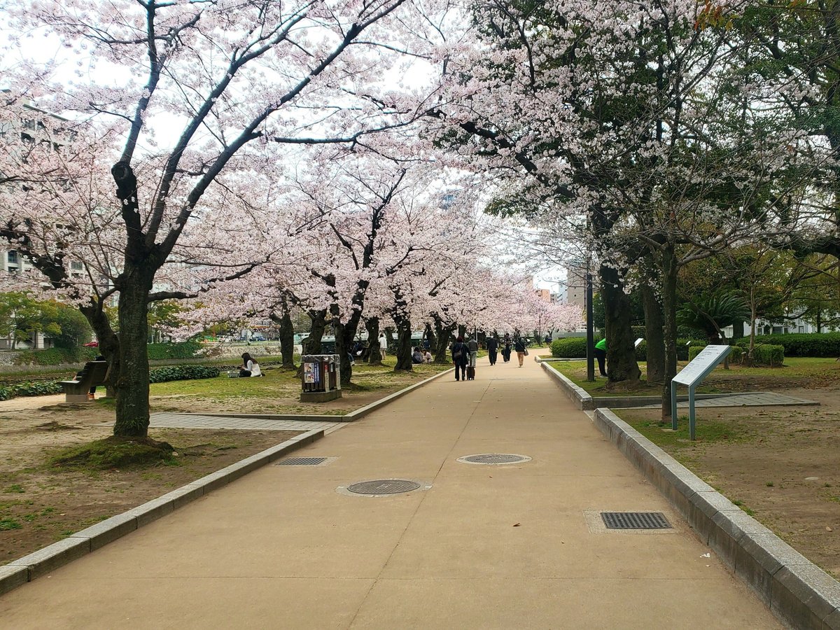 ホームステイ 映画 長尾謙杜ロケ地TikTok