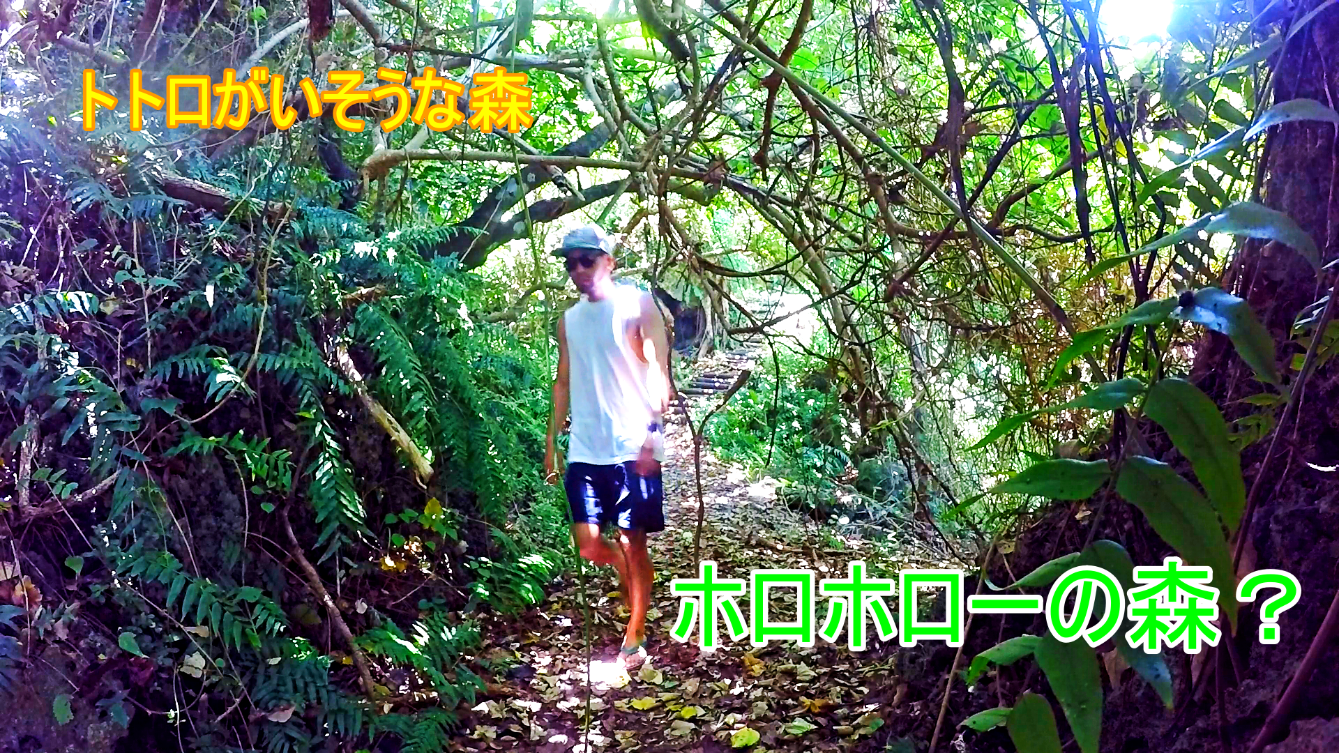 沖縄ジャングル体験 亜熱帯・ホロホローの森 ガイドツアー90分！森から海への散策コース。少人数実施・ファミリーにおすすめの安全なコース HIS