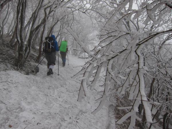 近畿の名峰に登る 明神平 登山初心者におすすめ！1300m超え青空と平原の別天地