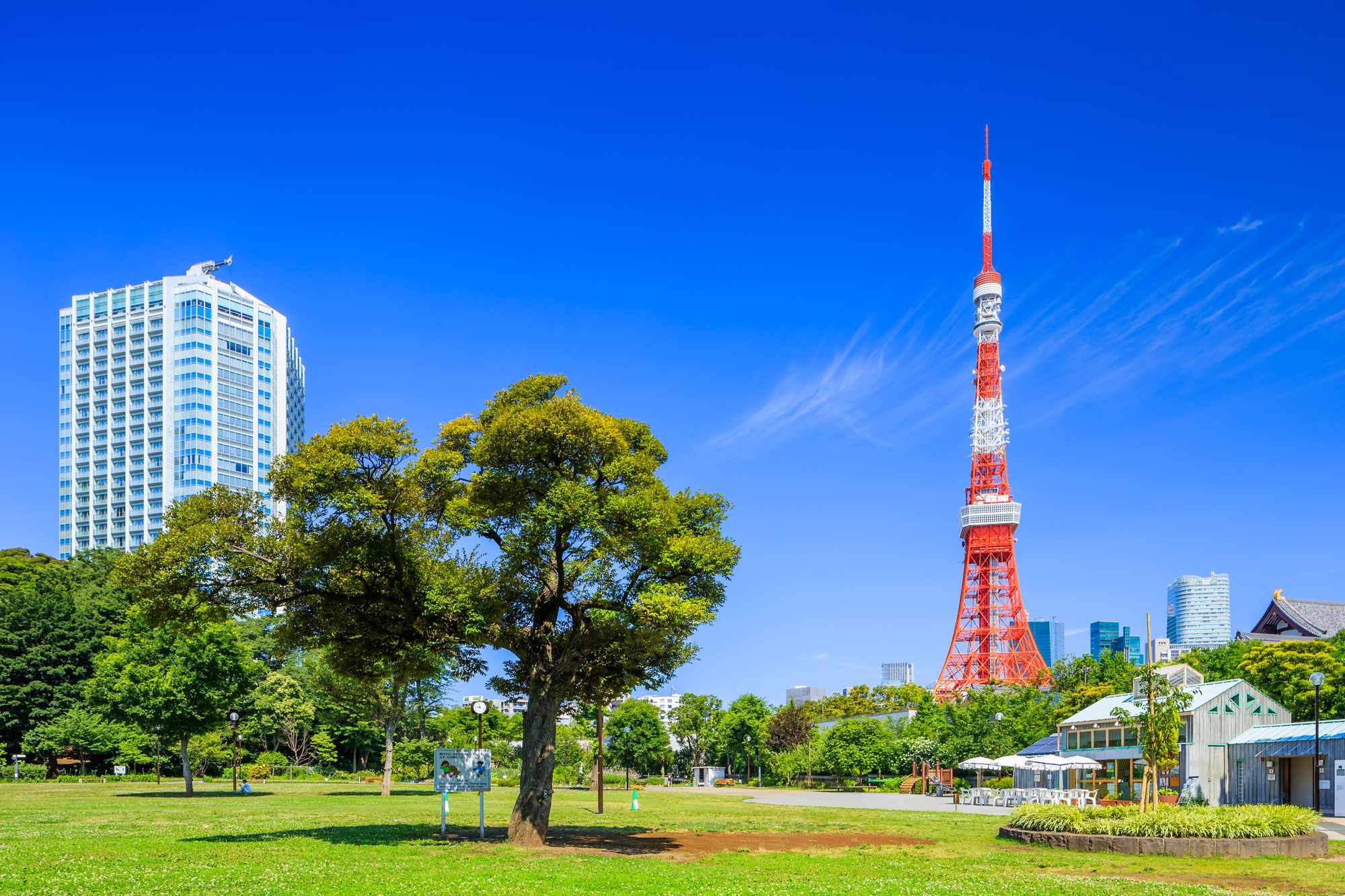 東京タワーが見える「芝公園」の絶景撮影スポット8選！ピクニックやアクセス情報も