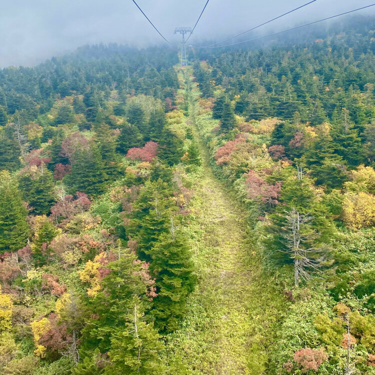 蔵王ロープウェイ 山頂線ニッポン旅マガジン